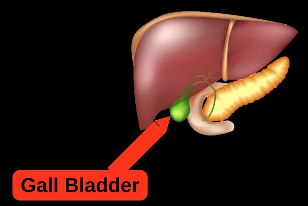 Gall Bladder stone Treatment In Indore