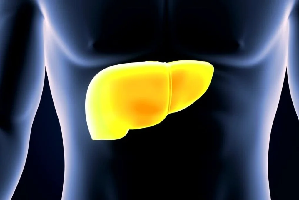 Best Therapeutic Endoscopy In Indore